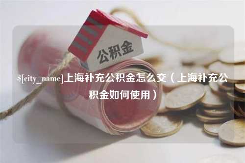 恩施上海补充公积金怎么交（上海补充公积金如何使用）